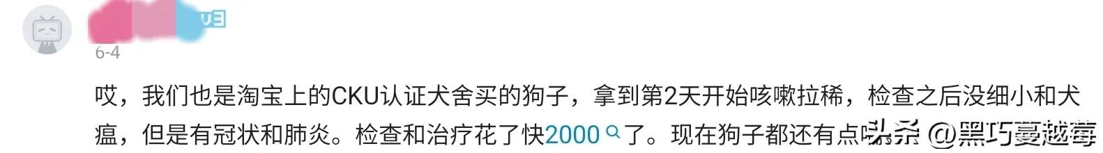 披星戴月来见你——网购宠物的千层套路