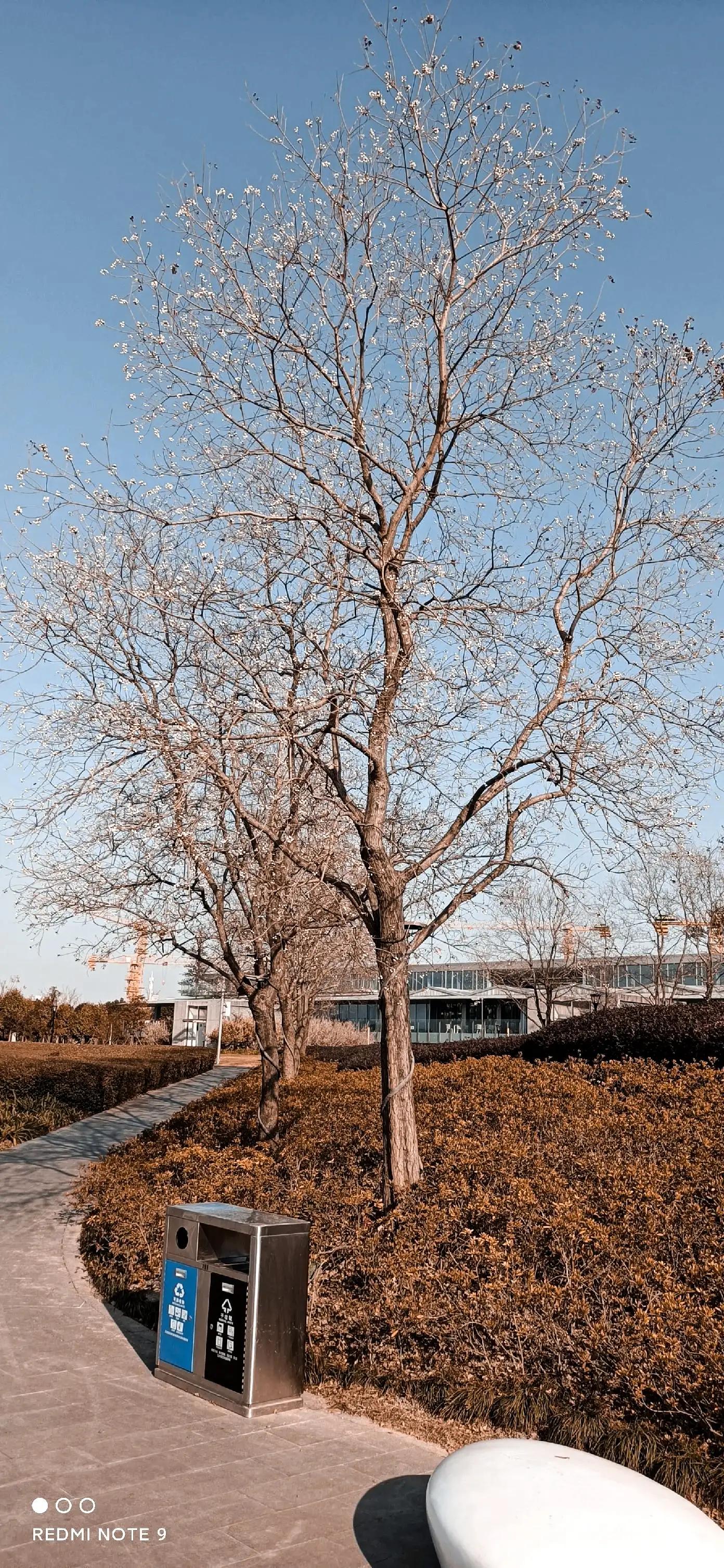 浦东前滩效果图,上海浦东前滩将开的新楼盘