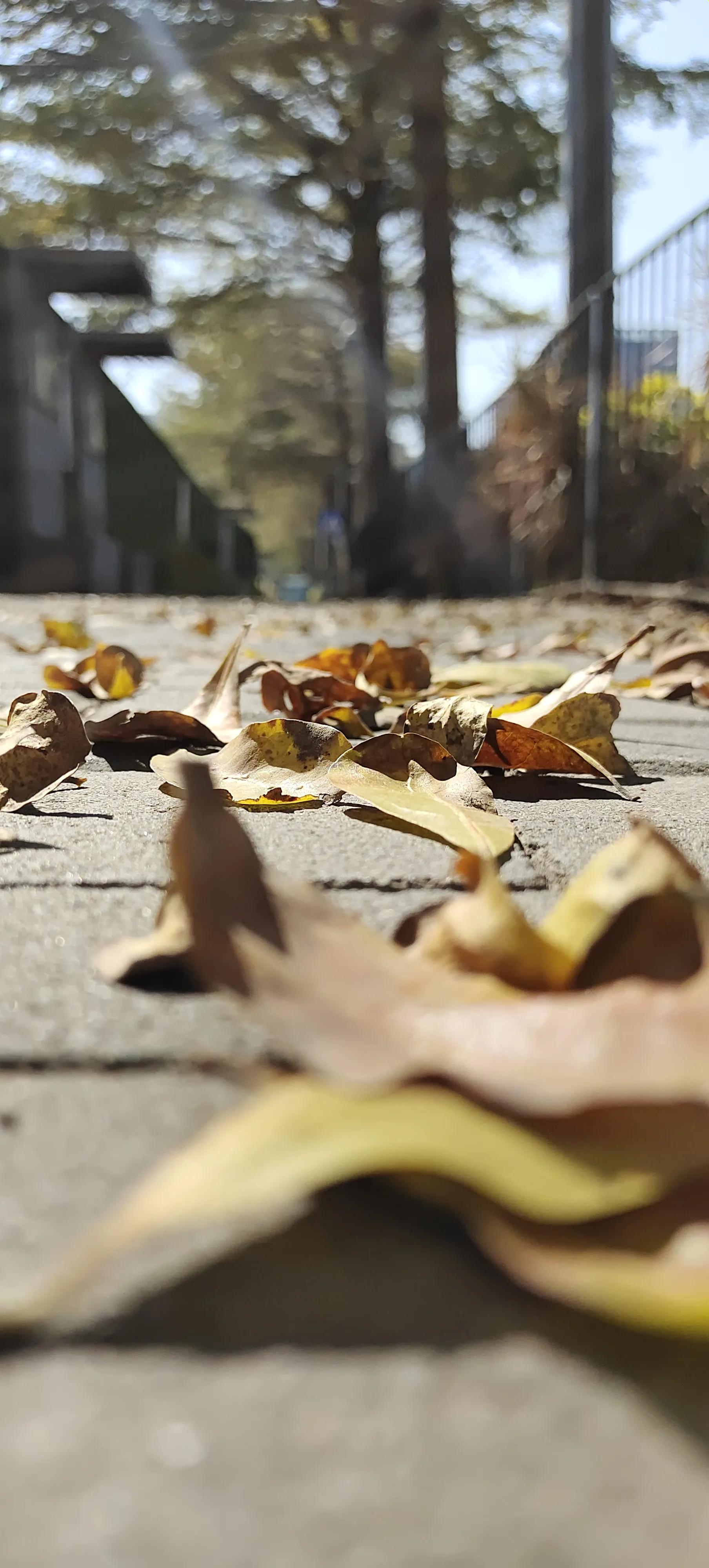 在火车上怎么打发时间有意思,火车长途怎么打发时间