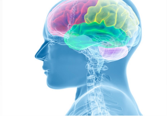 头皮上摸到一个硬疙瘩,头皮有小疙瘩摸着疼怎么回事