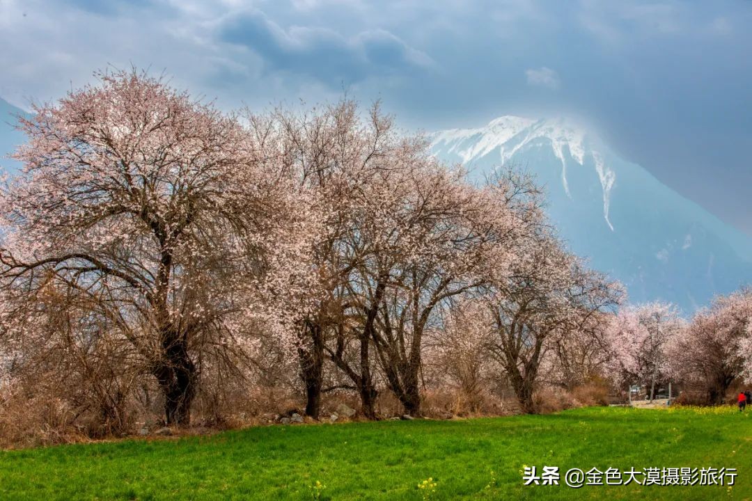 3月份去西藏林芝,3-4月去西藏林芝好玩吗