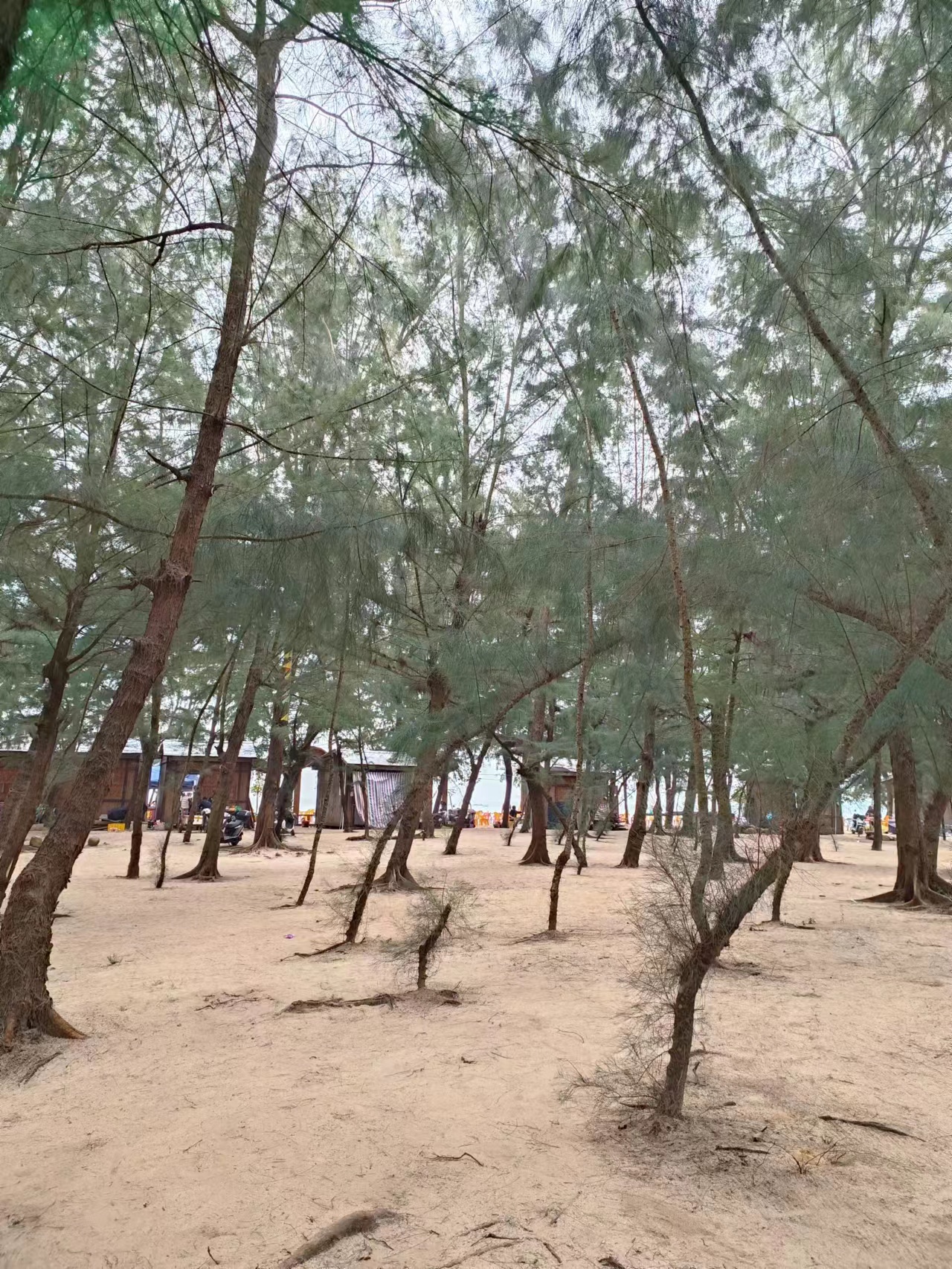 缤果预售价和实际价格,缤果有木有降价