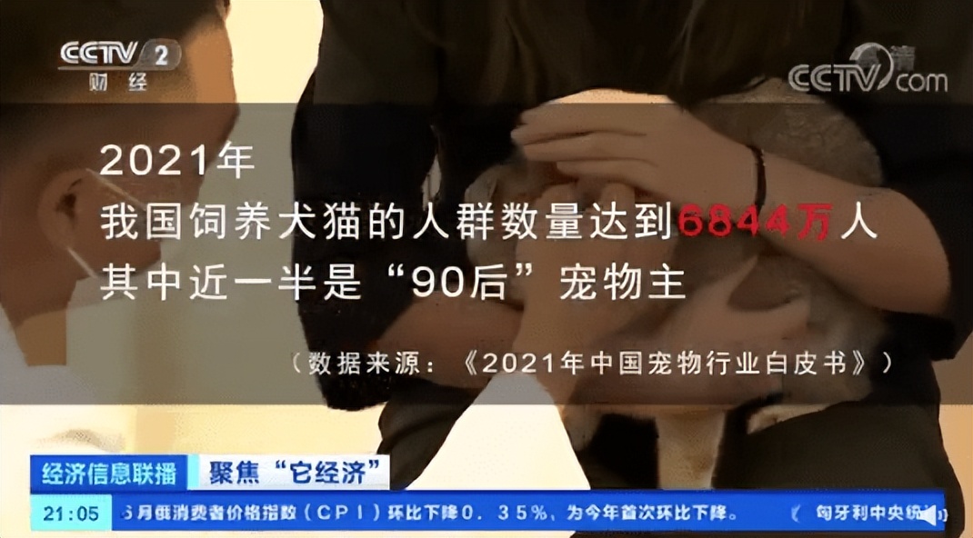 b站直播涨粉,b站直播恰饭视频