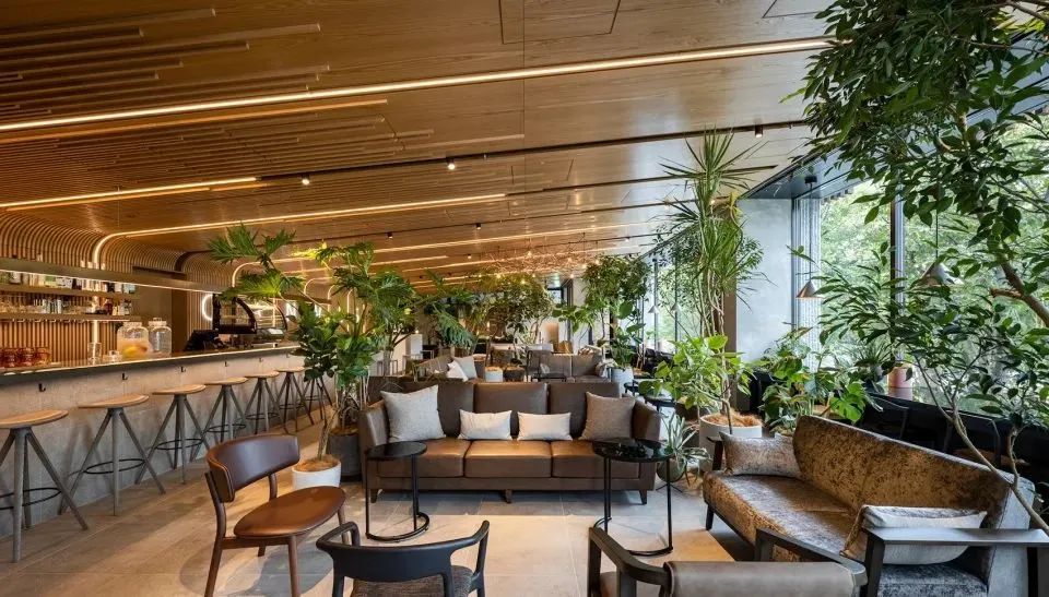 去日本旅游订酒店好还是民宿好,日本旅游选酒店小技巧