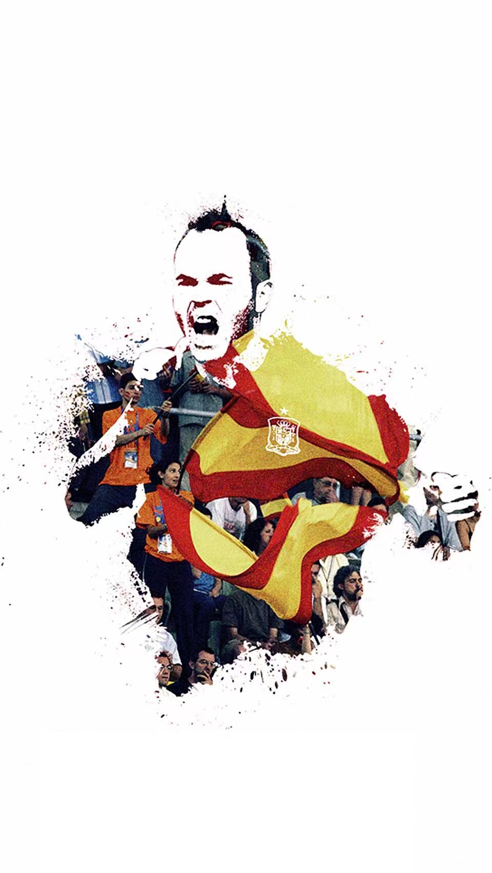 高清足球壁纸国家队,足球比赛观众高清壁纸