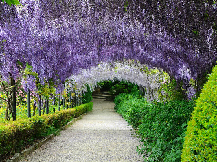 热那亚是哪个国家的首都,哥伦布的港口在哪里