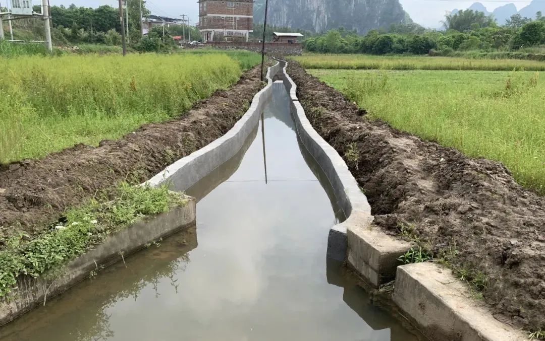 桂林向您汇报（阳朔篇）丨打通“肠梗阻”，“畅通”百姓心——福利镇新寨村疏通水渠助力农业生产