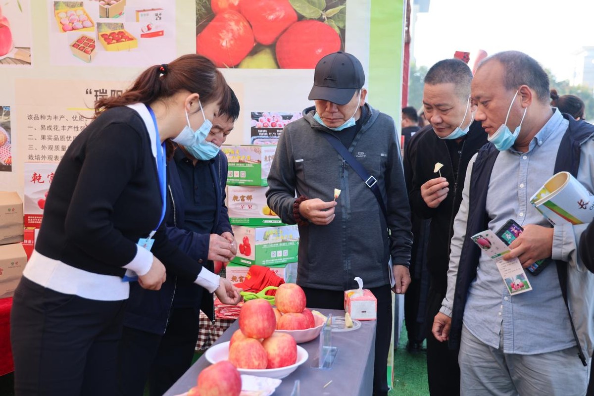 长武:多措并举打好果品宣传营销“组合拳”