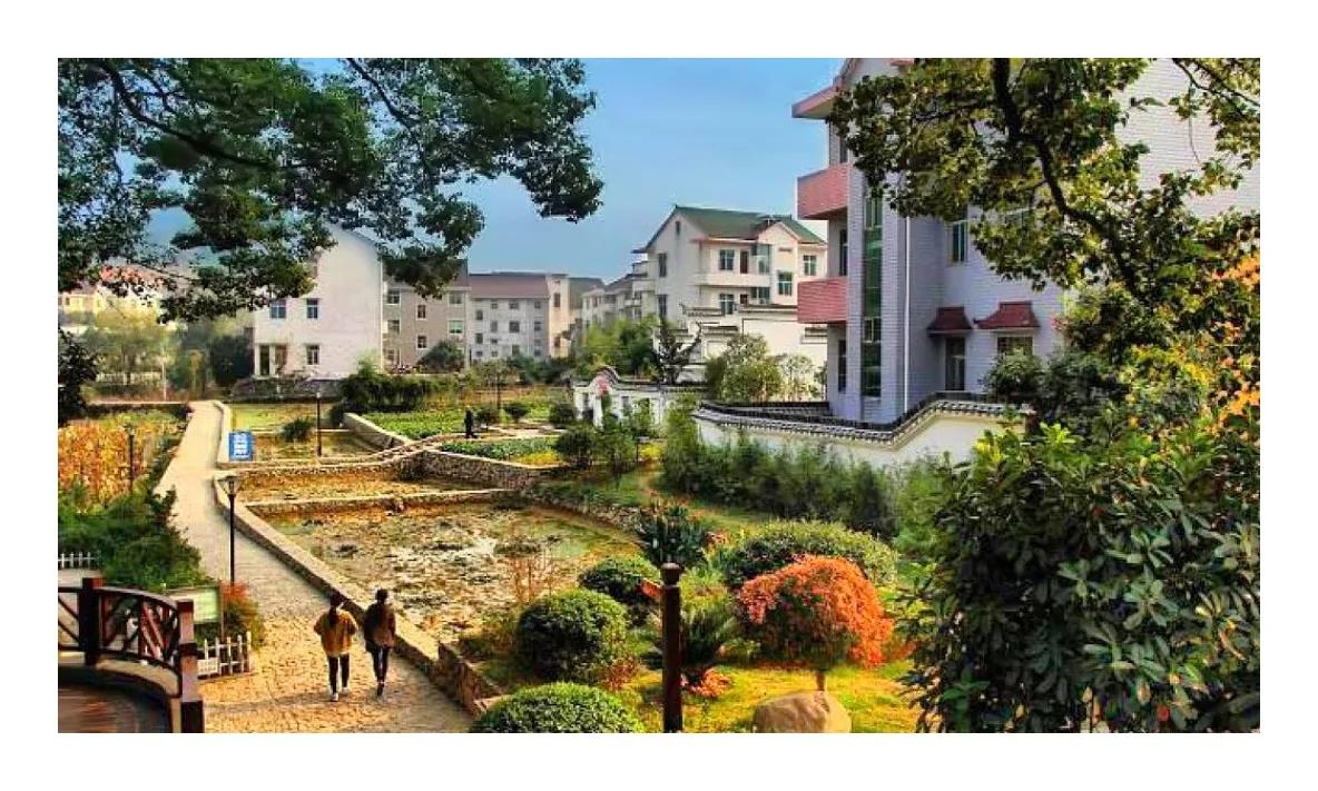 到浙江美丽乡村参观收获,考察浙江美丽乡村感想体会