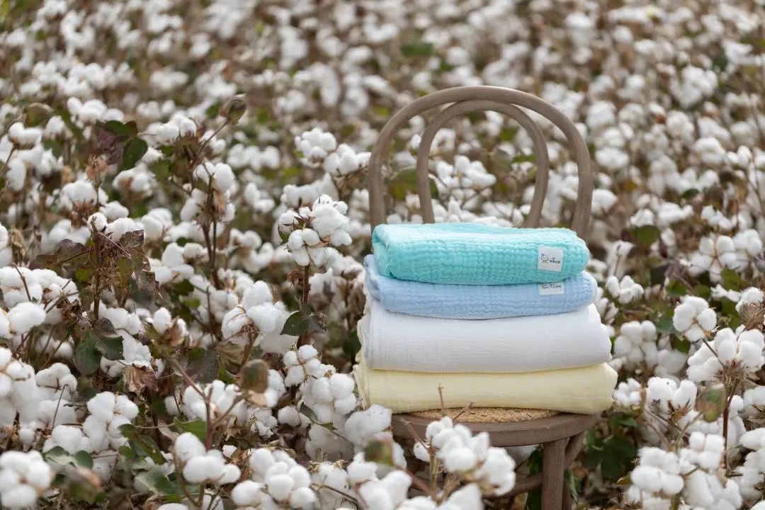 从一朵棉花做到年销量40亿+，全棉时代如何走出差异化路径？