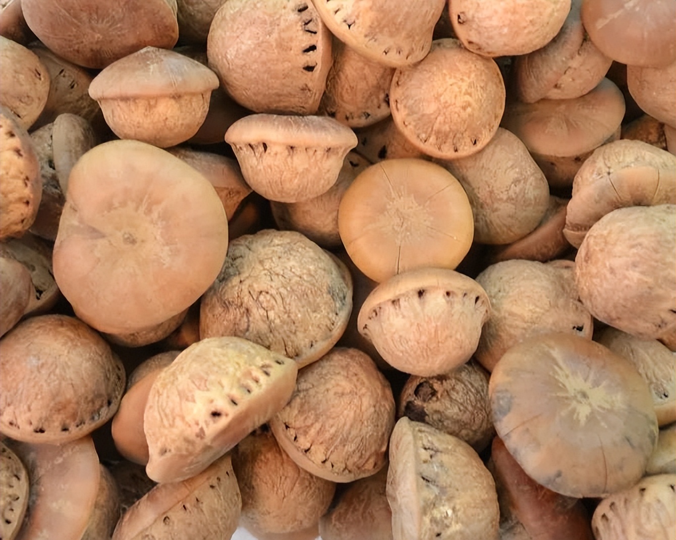 文玩十大必玩景点,文玩三不碰