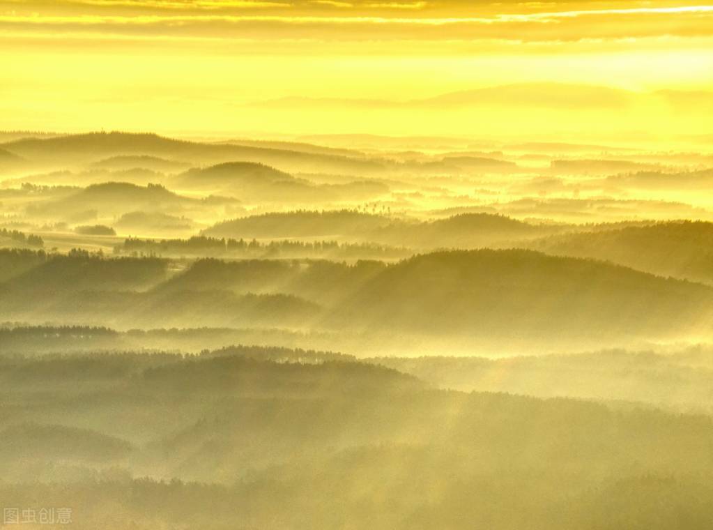 黄金有价情义无价的下一句,黄金有价情义无价视频