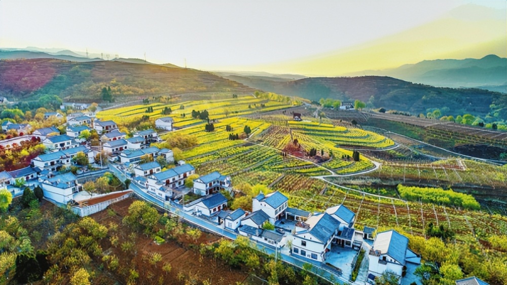 项目为王安阳,项目为王做强增量