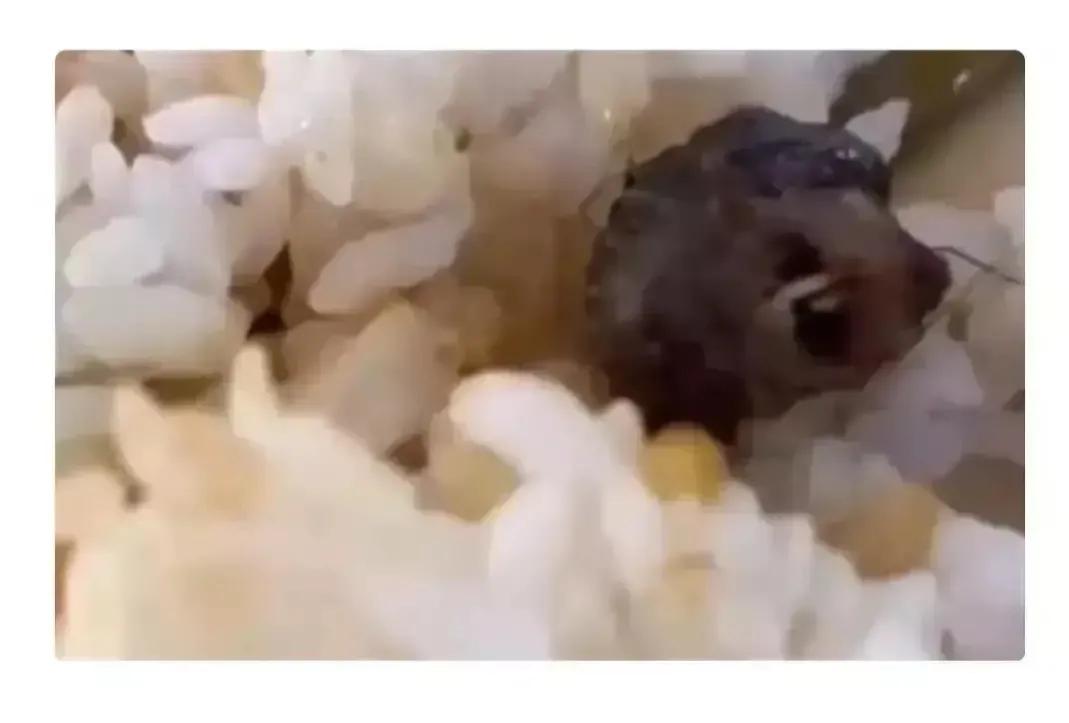 辐射果冻后又来毒粽叶食品安全百花齐放