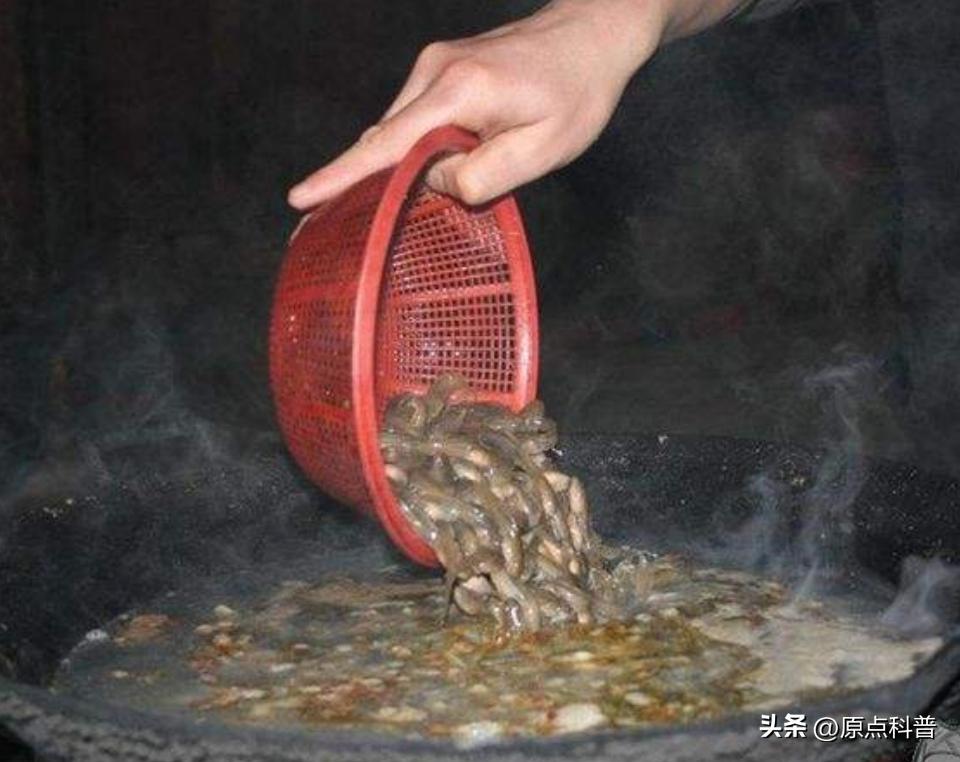 盘点广西十大奇葩美食狗肉,广西特色美食全是经典快来看看吧