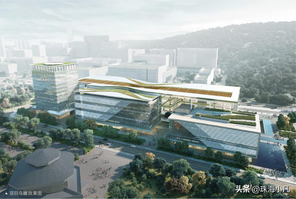 珠海大事最新,珠海市最新消息今天