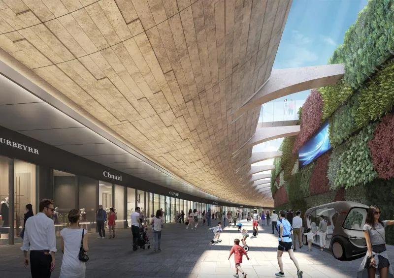 同济大学任力之,同济大学任力之教授