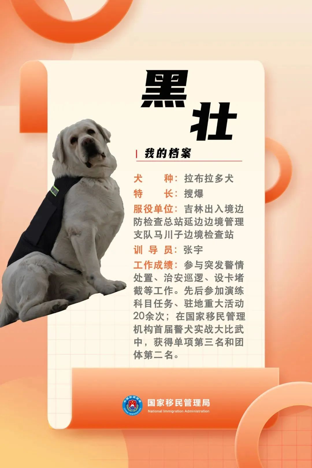 功勋犬天狼,功勋犬挑战不可能