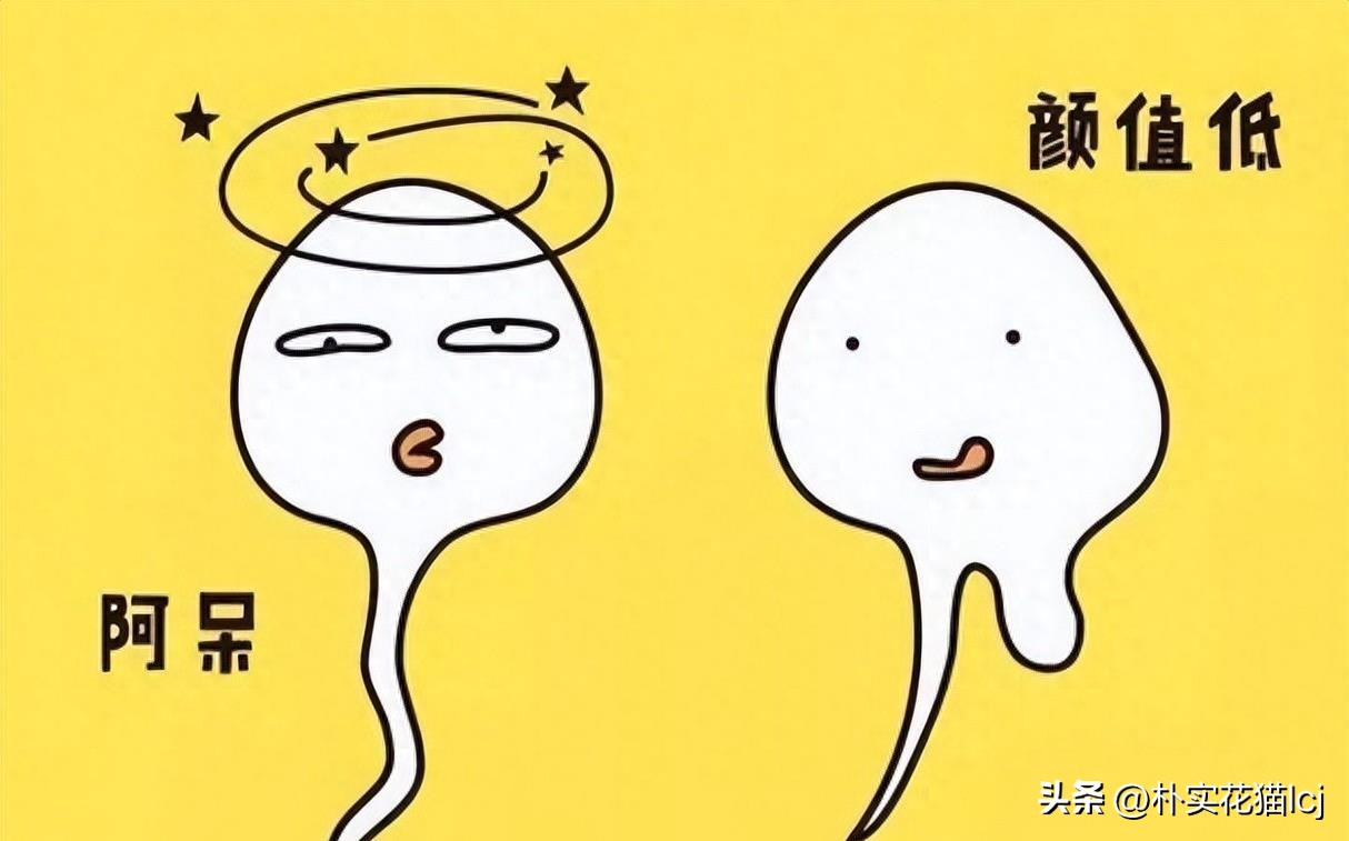 精子受孕未成功后去哪了,没有成功受孕的精子都去哪里了