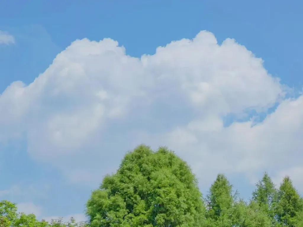 海贼王朋友圈背景图,朋友圈高级感背景图