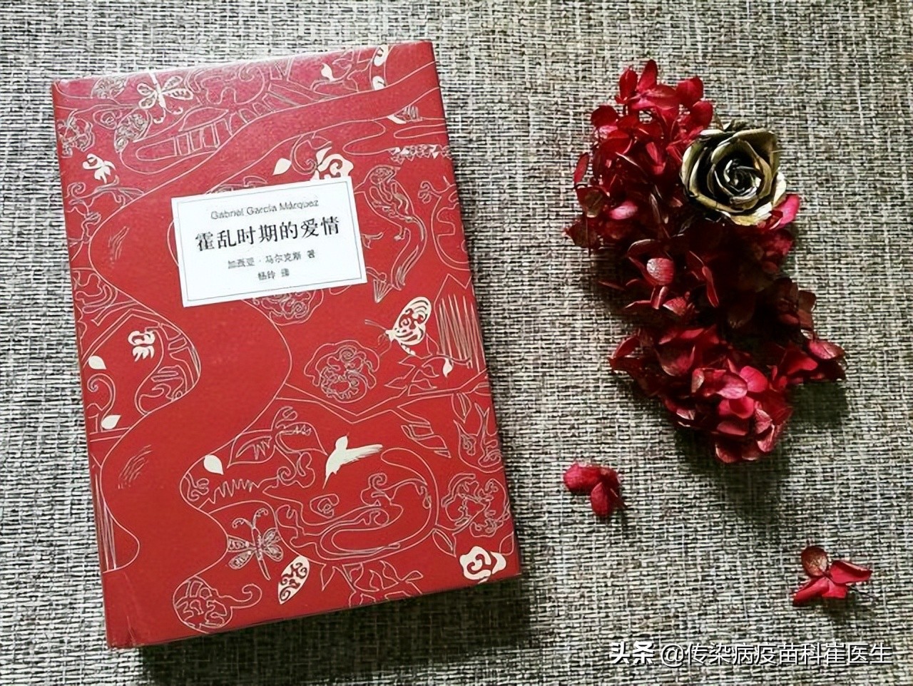 霍乱疫苗都预防什么病,霍乱提前预防用什么药