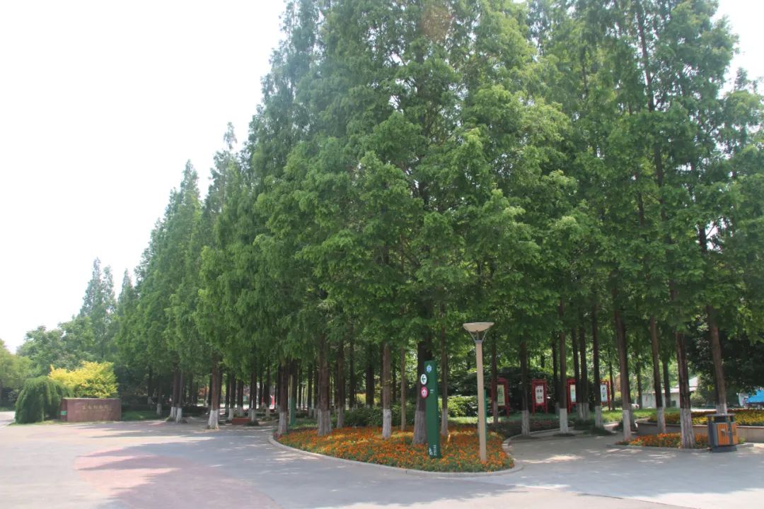 淮安动物园位置,淮安动物园多大面积