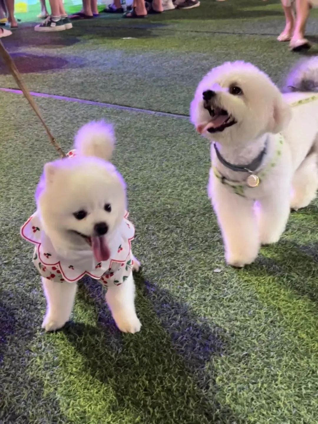 番禺夜晚打卡点,广州番禺区夜市游玩攻略