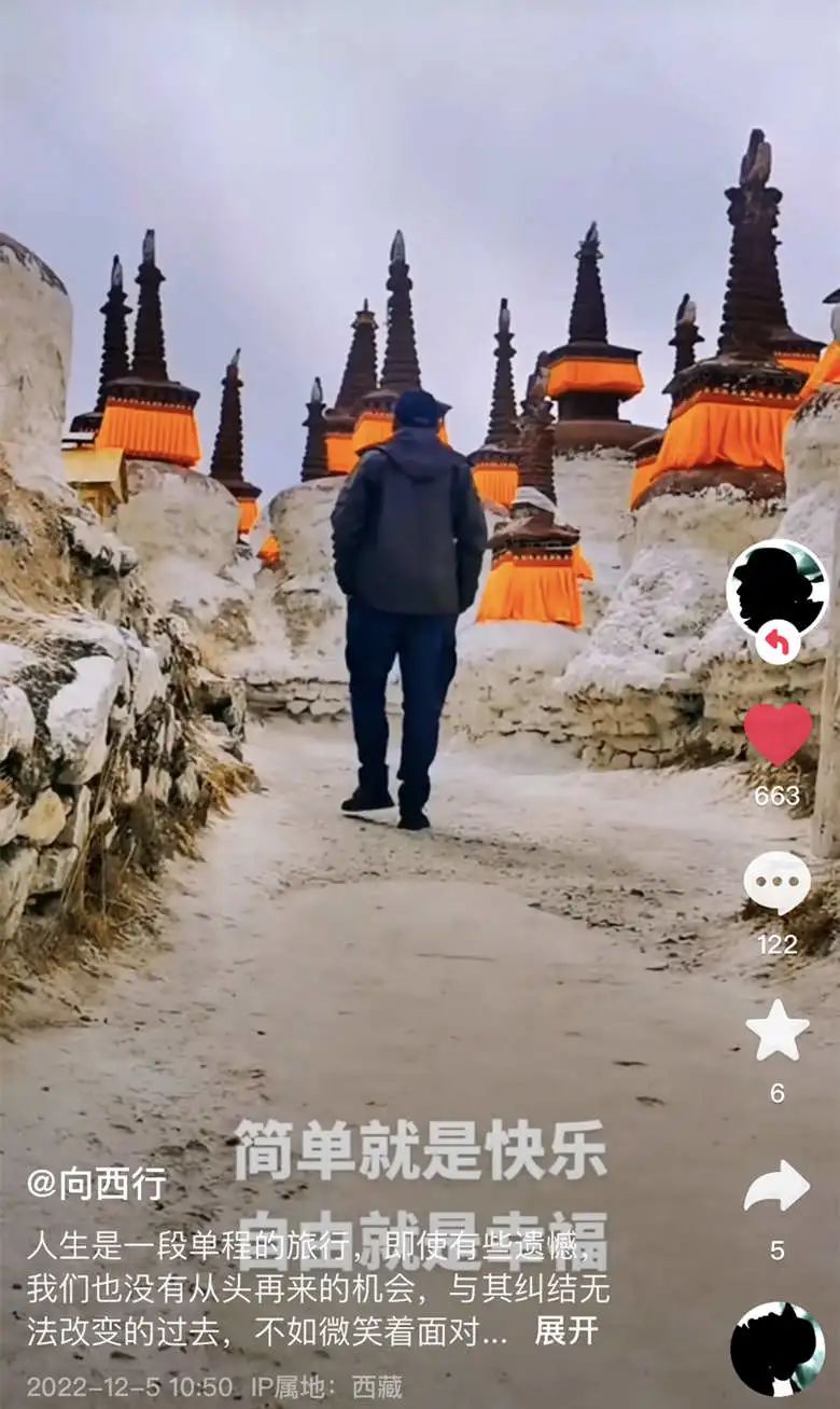 2020年的56个瞬间,我见过一场海啸