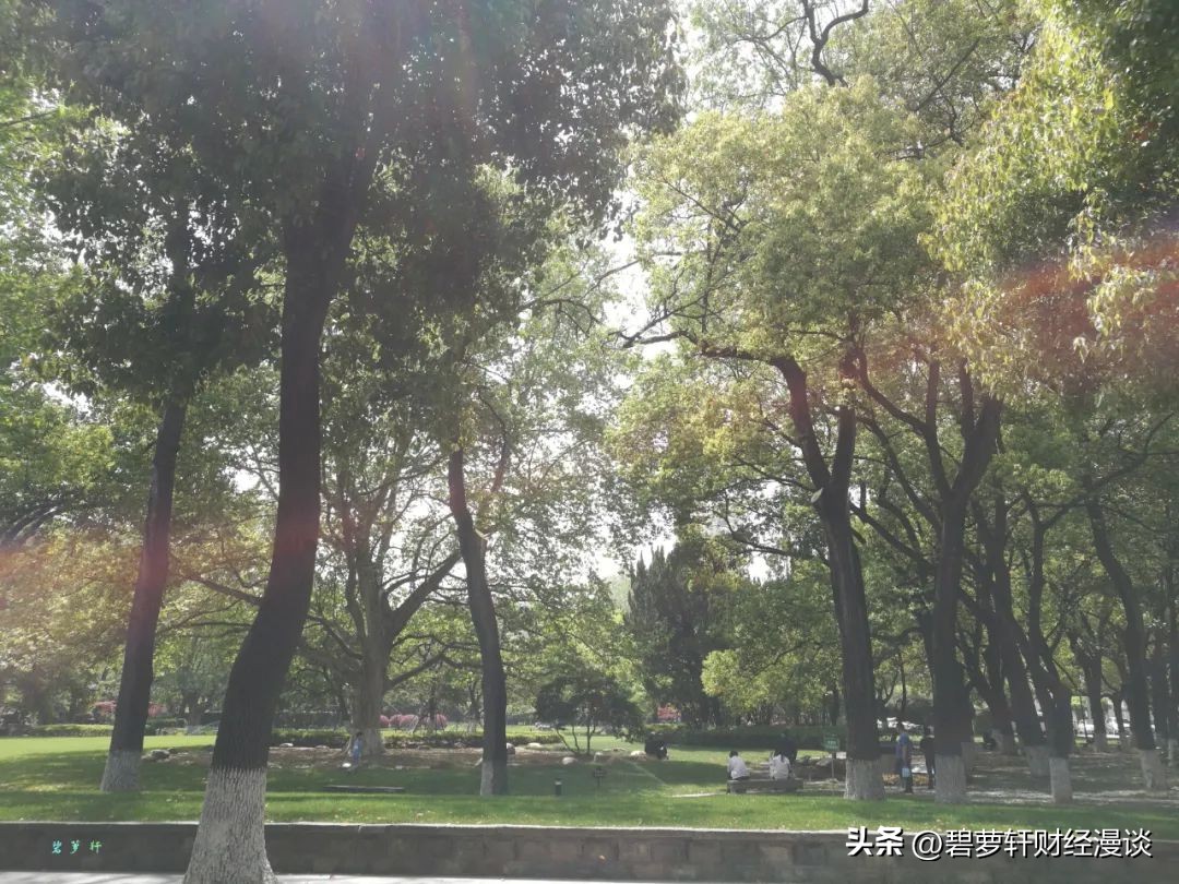 我在上海压马路④中山公园-苏州河华政-愚园路