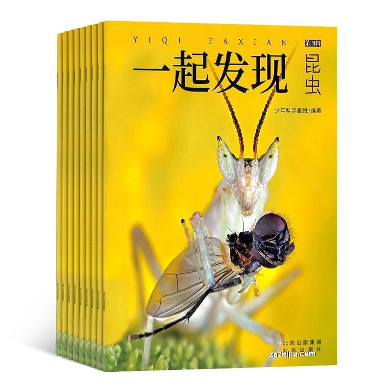 小学生暑假必读分级课外书目录,2024年寒假小学生必读书目