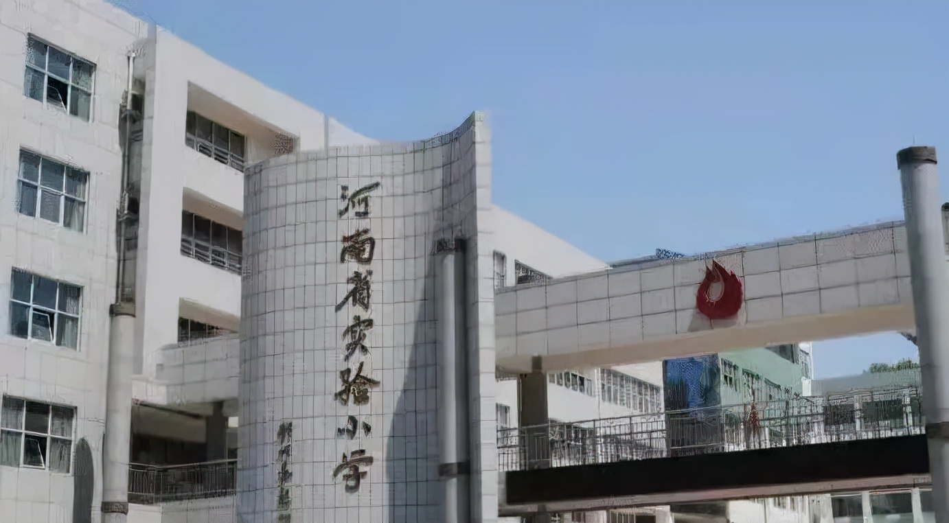 专家引领促成长,专家引领促发展