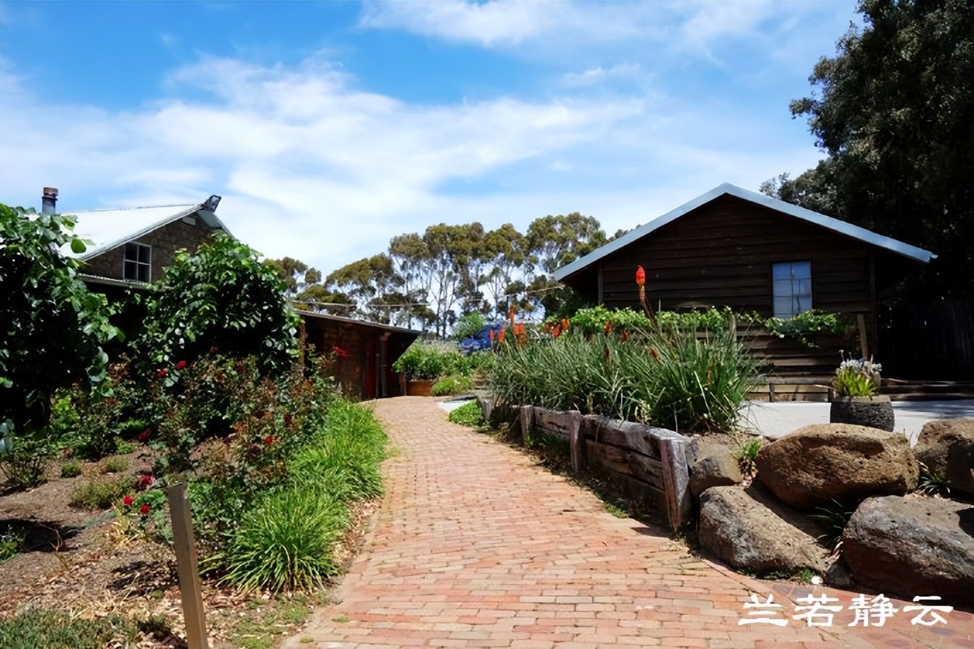 澳洲·墨尔本：到酒庄免费品酒，付5澳元到樱桃园吃到撑