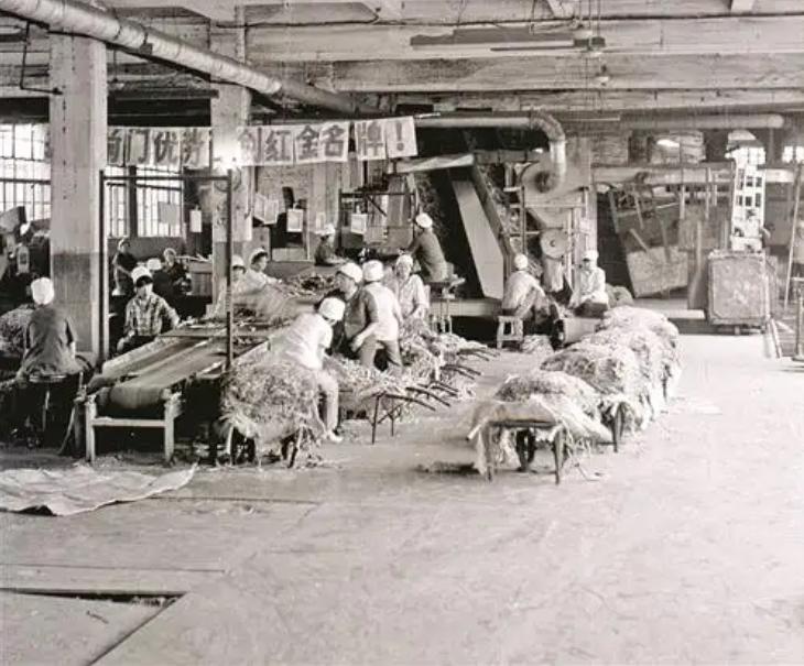 毛主席与香烟:烟瘾很大,晚年独爱贺龙推荐的“132”雪茄烟