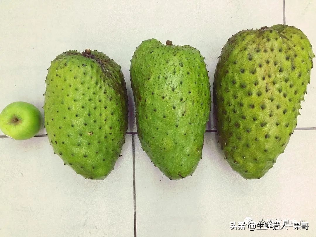 #奇异水果知多少#椰柿、黄晶果、冰淇淋果、巧克力布丁果等