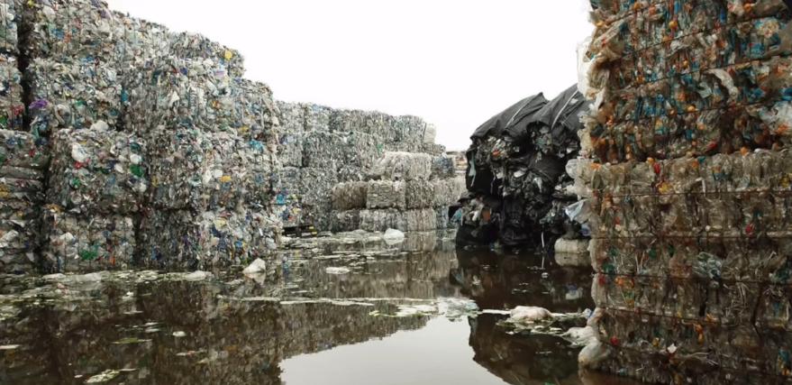 苏一格抖音,苏一格抖音号