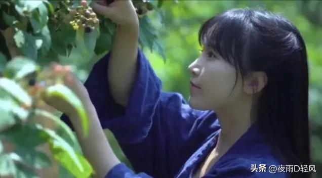 李子柒还能复出嘛,李子柒复出还能东山再起吗