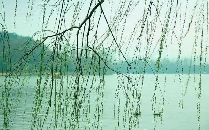 早春最好的十首诗,早春诗词十首