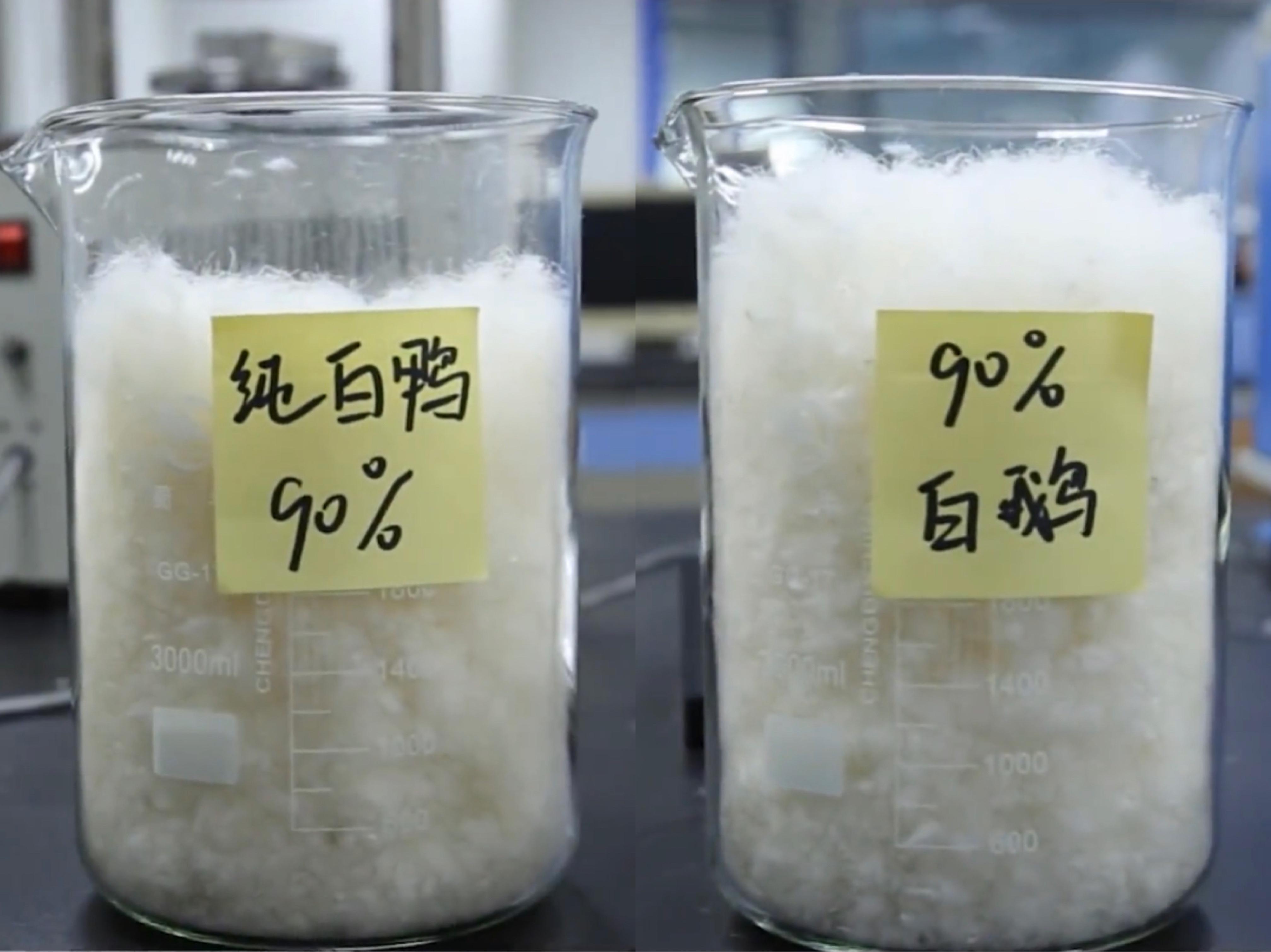 名牌羽绒服和普通羽绒服的区别,羽绒服贵的和便宜的有什么区别