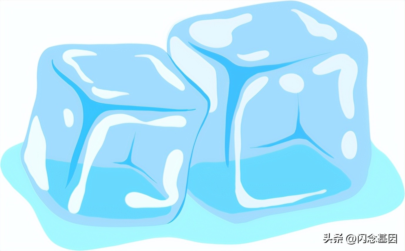 用概率图模型构建知识图谱,教育知识图谱项目