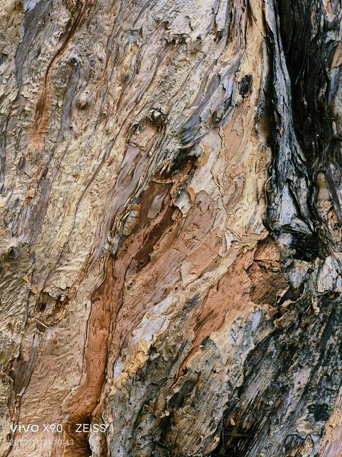 vivox90测评最新,vivox90最新体验测评