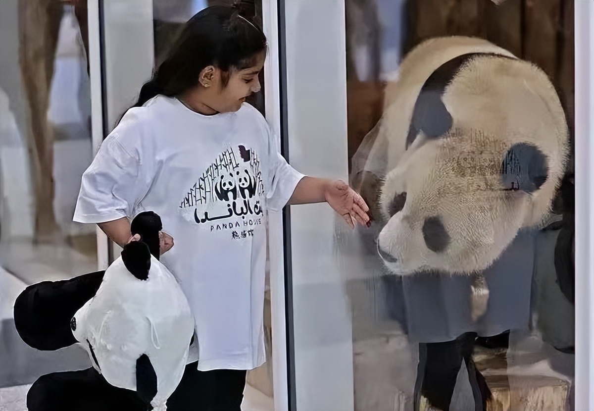 世界杯最欢乐的一场,世界杯的每一个瞬间