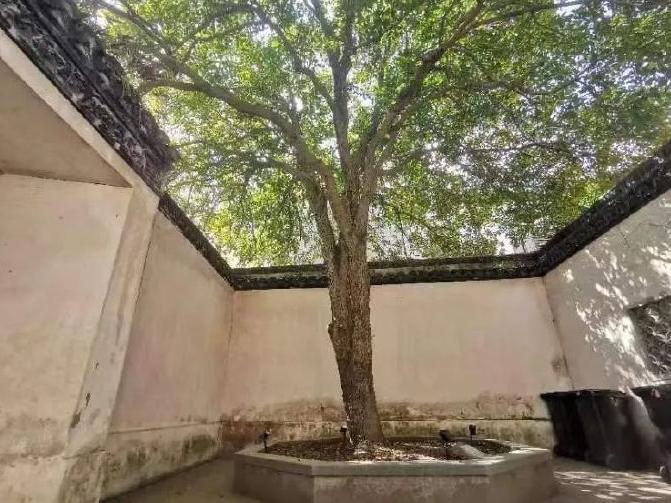 陶醉在秋天的诗句,陶醉在秋天美景