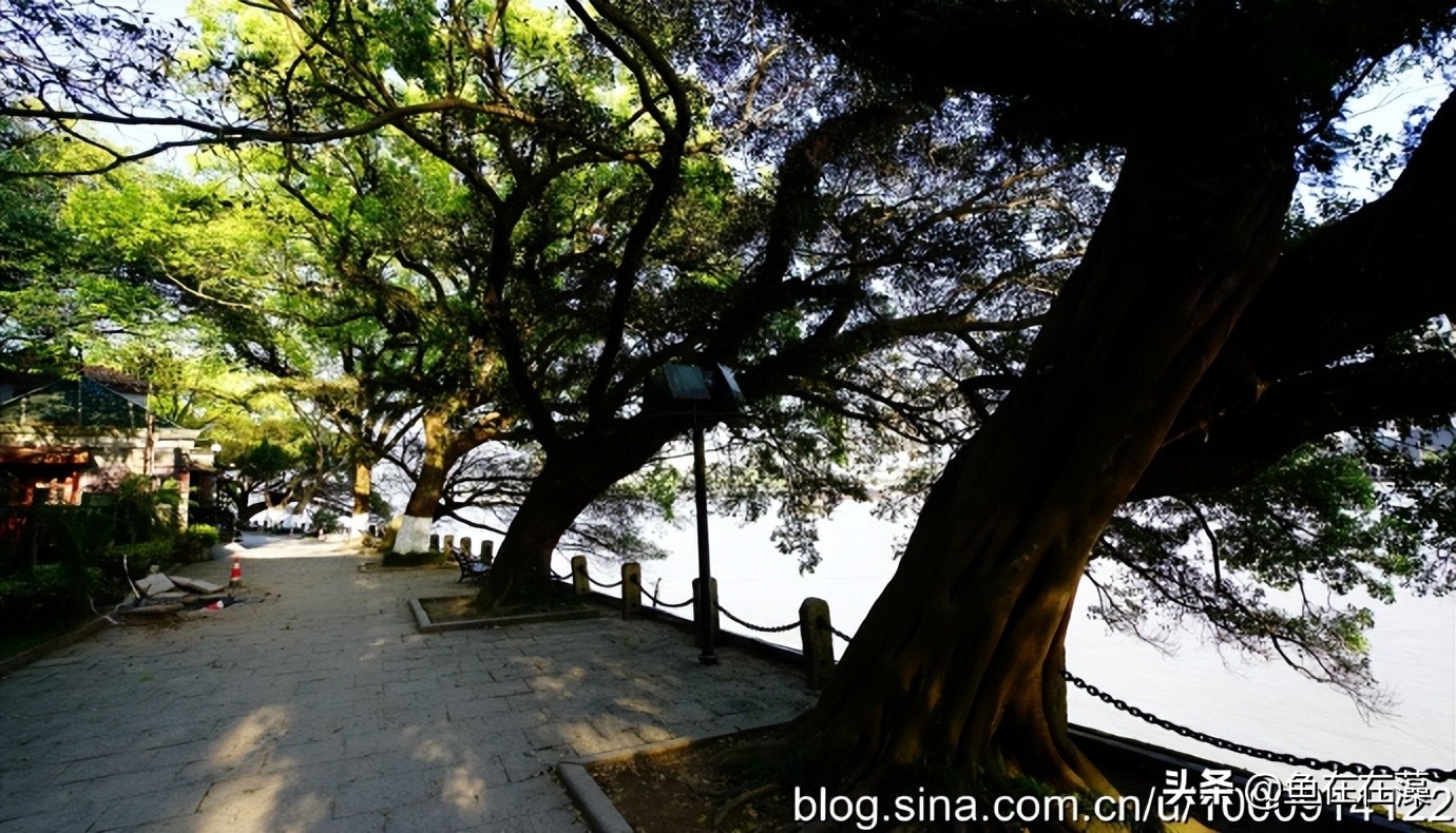 温州郑振铎纪念馆,郑振铎温州