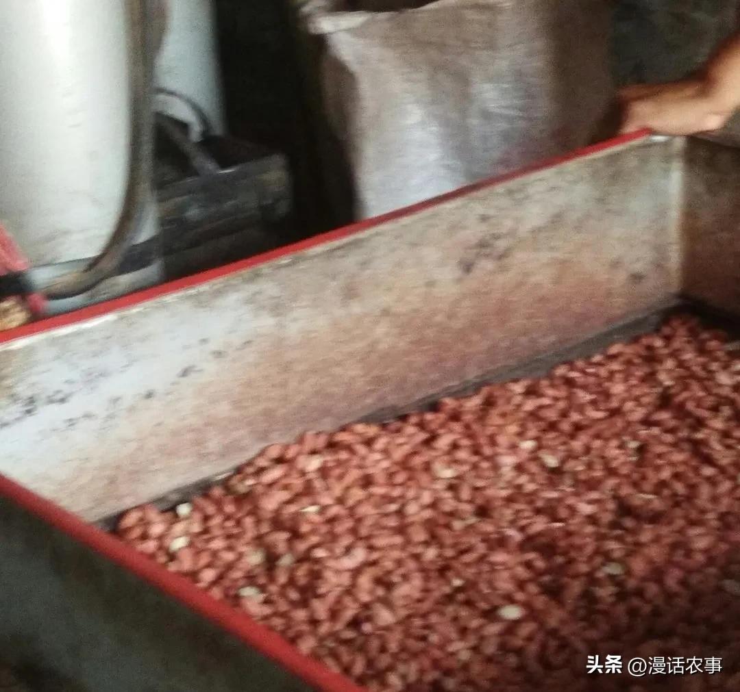 使用土榨油纯手工榨油不安全吗,农村自榨油的危害是什么呢