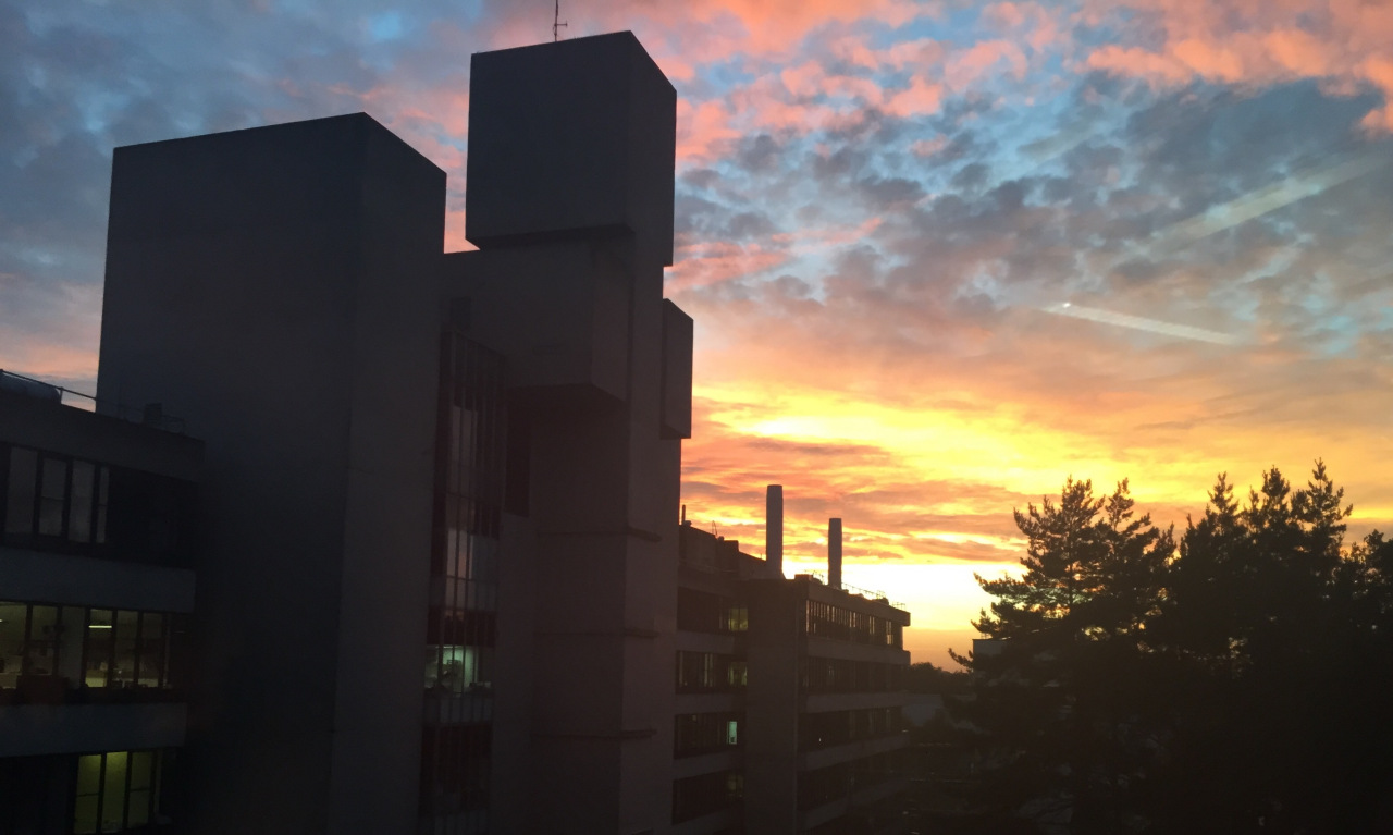 英国东英吉利大学简介,东英吉利大学专业