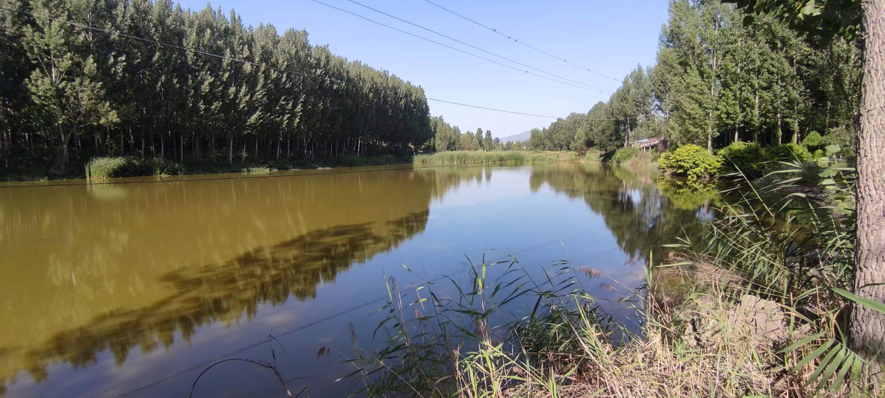 古中国考出彭蠡泽｜张笔魁