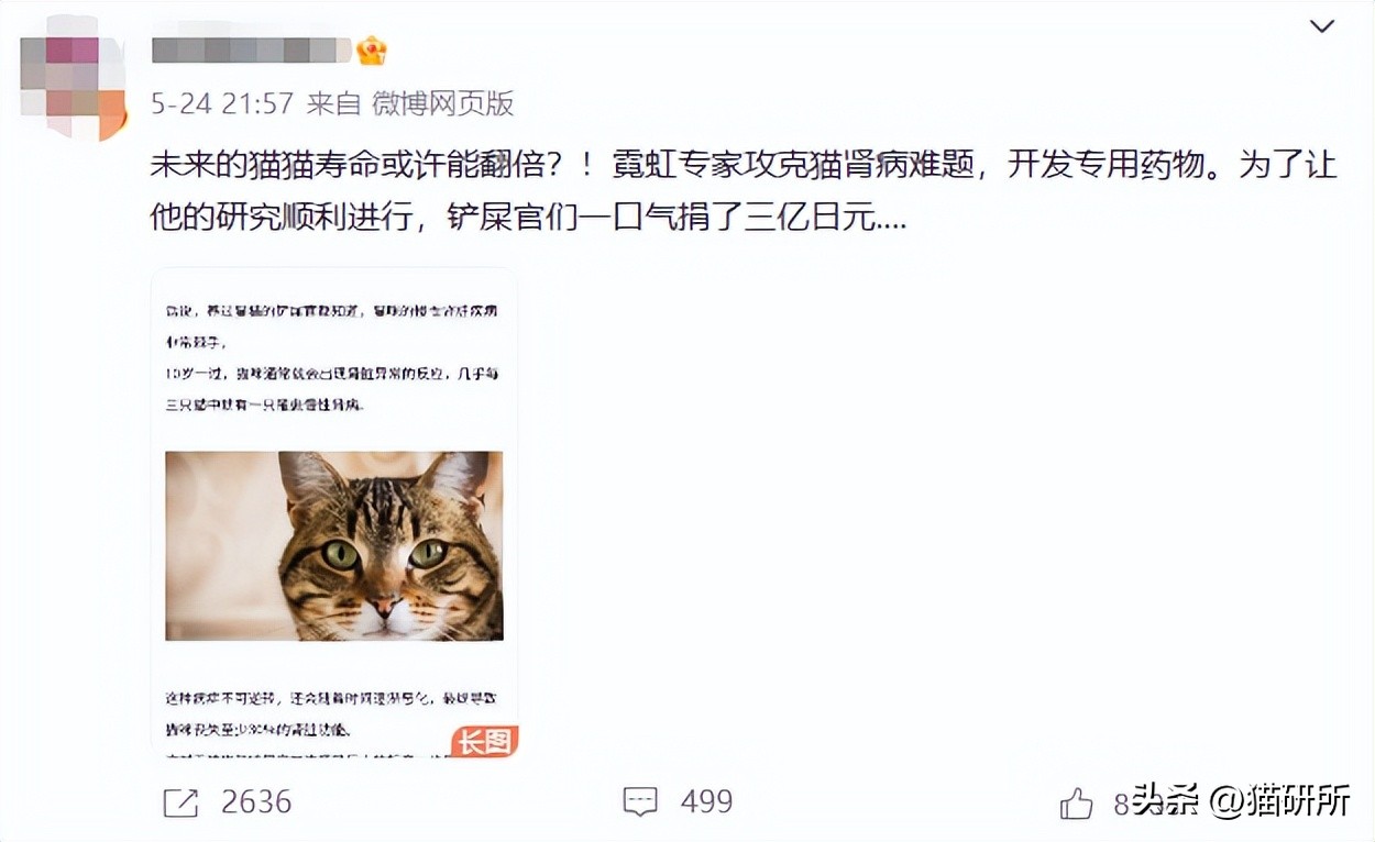 日本让猫咪寿命翻倍的药,aim蛋白可以让猫咪长寿吗