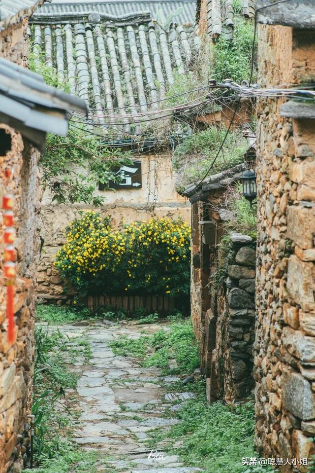 去有风的地方像个没人的地方,去有风的地方到底演的什么