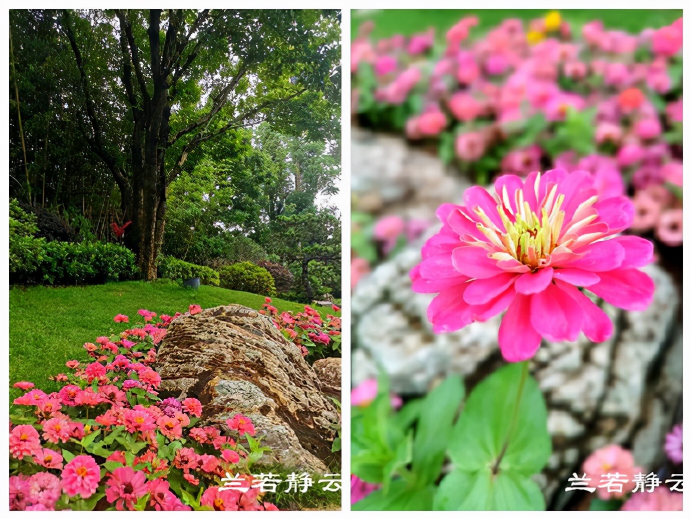 厦门白鹭洲公园陨石展览馆,白鹭洲公园是厦门的宝藏公园