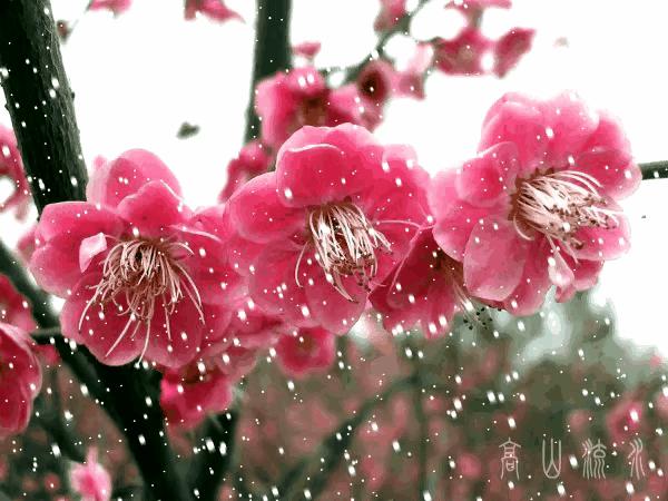 七绝迎新春古诗词,七绝迎新